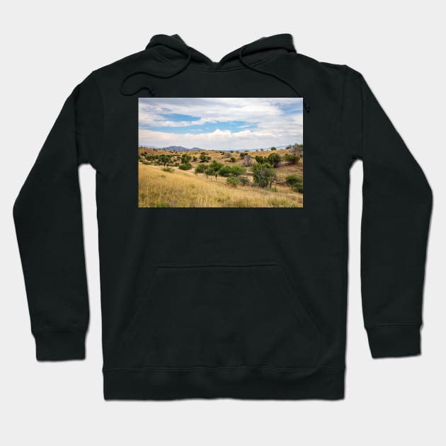 Santa Rita Mountains, Arizona Hoodie by Gestalt Imagery